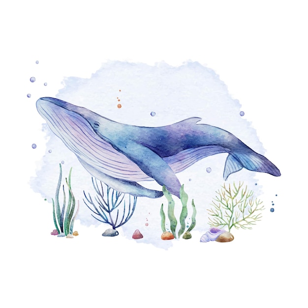 cute whale and sea plants under the sea watercolor clipart illustration