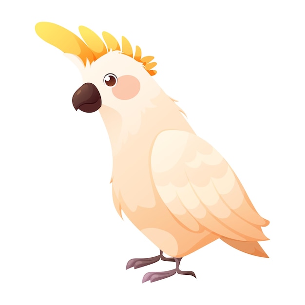 Vector cute white cacadu parrot cartoon vector illustration of tropical birds on white background