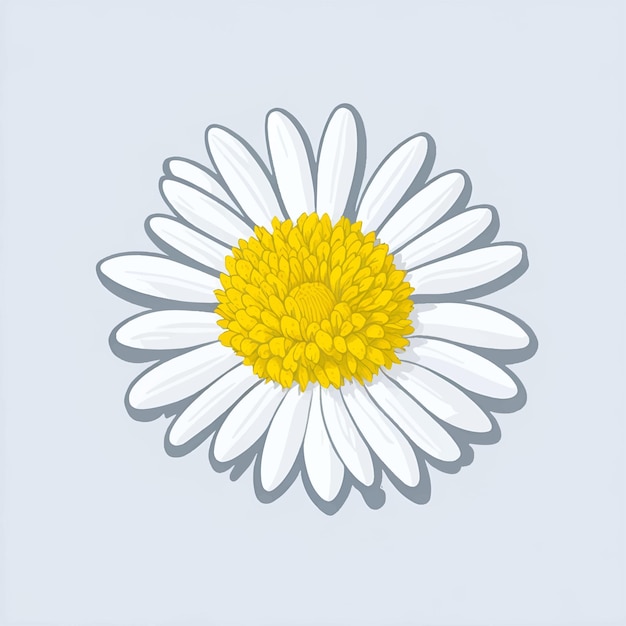 Cute white daisy chamomile flower Vector Illustration