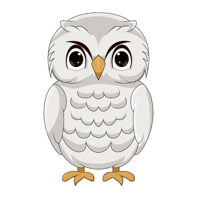 Cute white polar owl cartoon