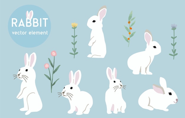 Cute white rabbit character object with flower