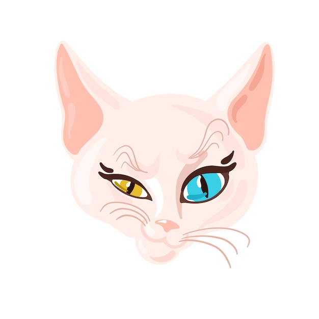 Cute white sphinx cat with colorful blue and yellow eyes. Vector cat illustration, cat head.