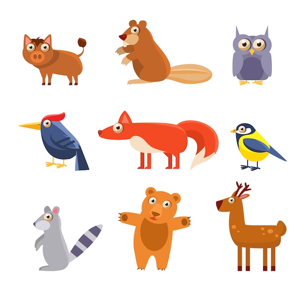 Cute Wild Forest Animals Collection