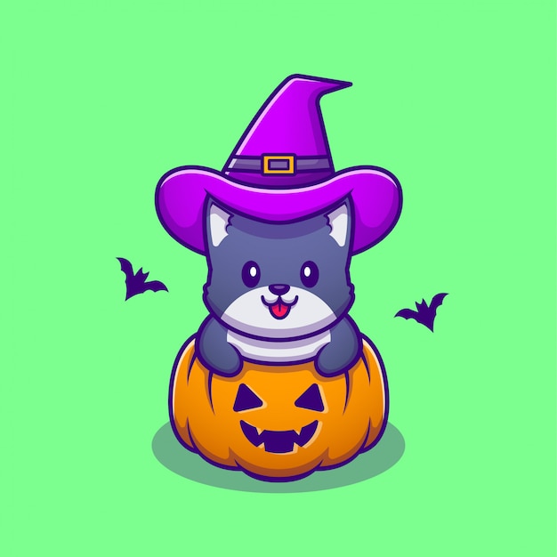 Cute Witch Cat With Pumpkin Halloween Cartoon  Icon Illustration. Animal Halloween Icon Concept  Premium .  Cartoon Style