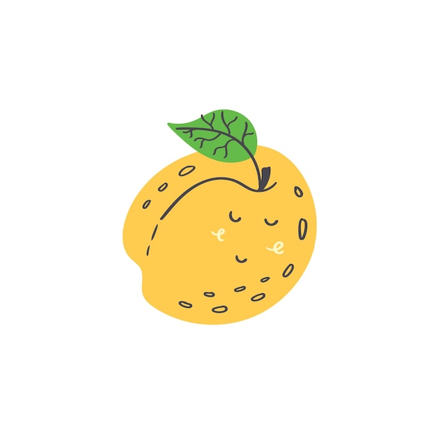 Cute yellow apricot