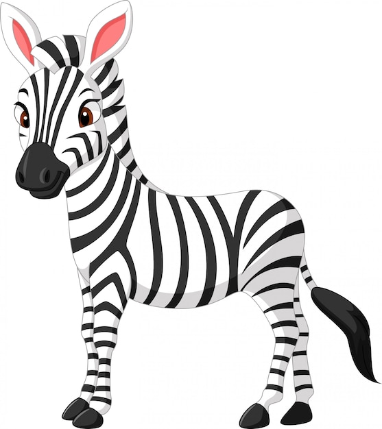 Cute zebra cartoon