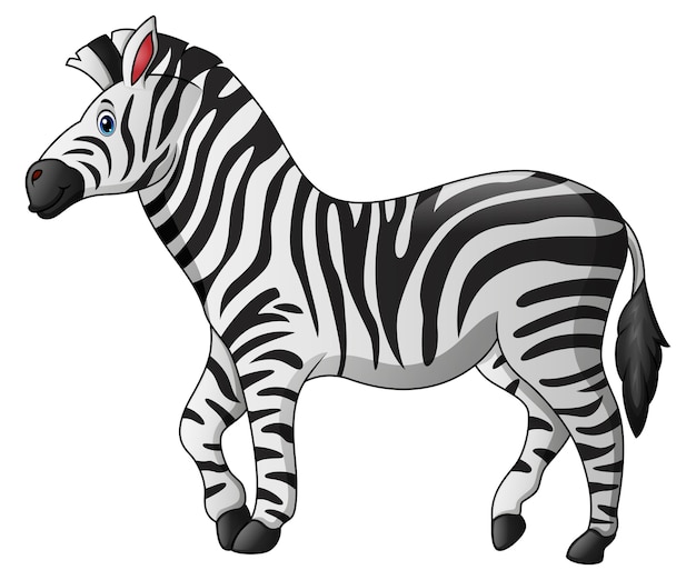 Cute zebra cartoon