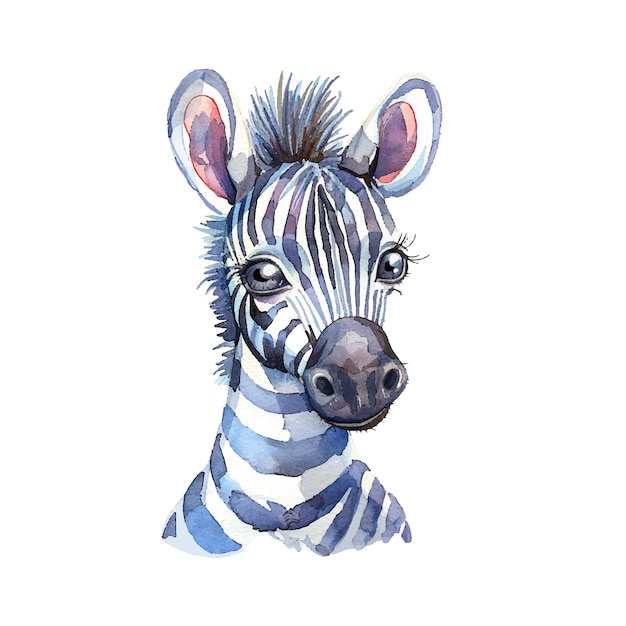 cute zebra vector illustration in watercolour style