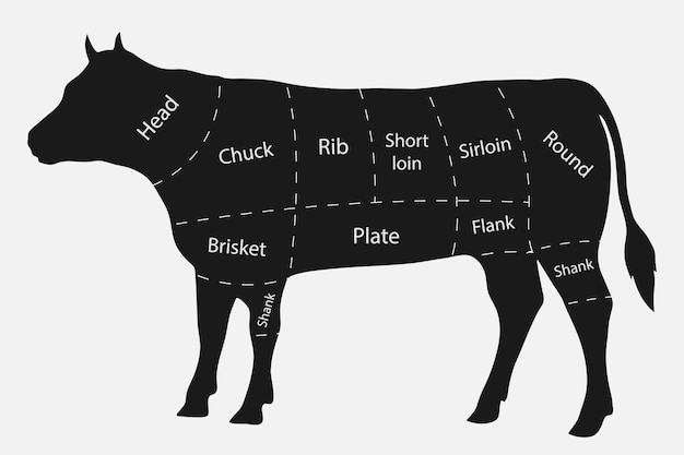 Cuts of beef