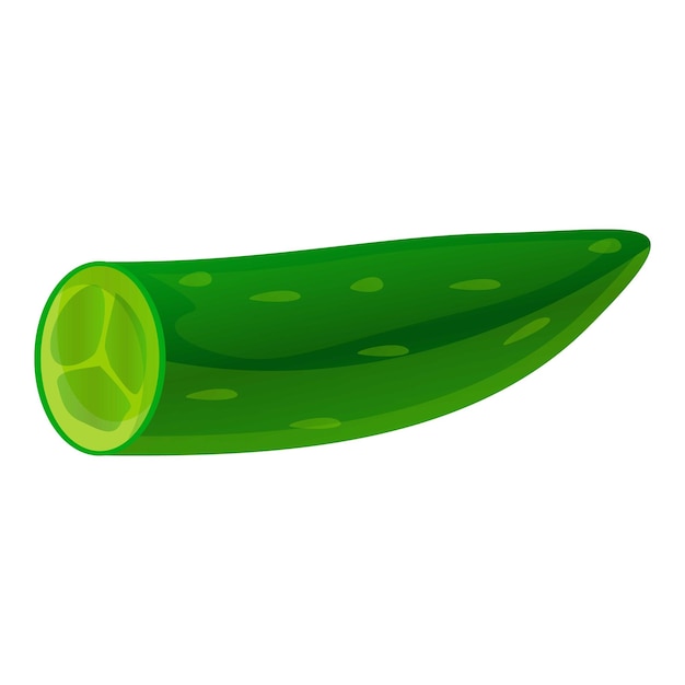 Cutted cucumber icon Cartoon of cutted cucumber vector icon for web design isolated on white background