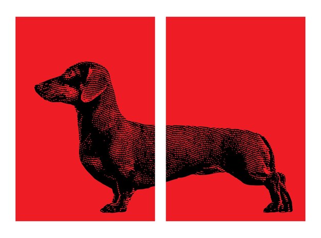 Vector dachshund dog artwork dachshund poster wiener or sausage dog set posters pop art style for home