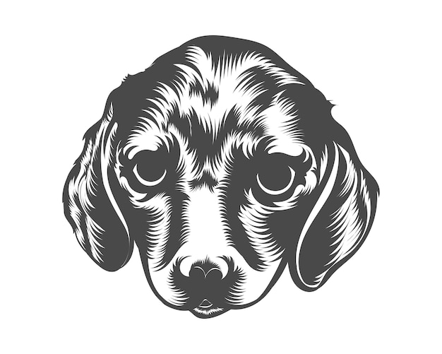 Vector dachshund dog breed vector illustration, dachshund dog vector on white background for t-shirt, logo,