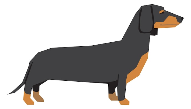 Dachshund side view Dog breed color icon