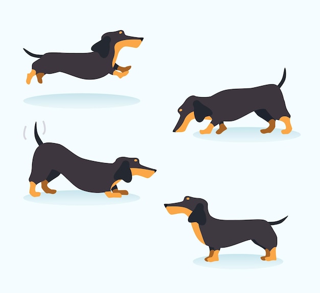 Vector dachshunds vector illustration