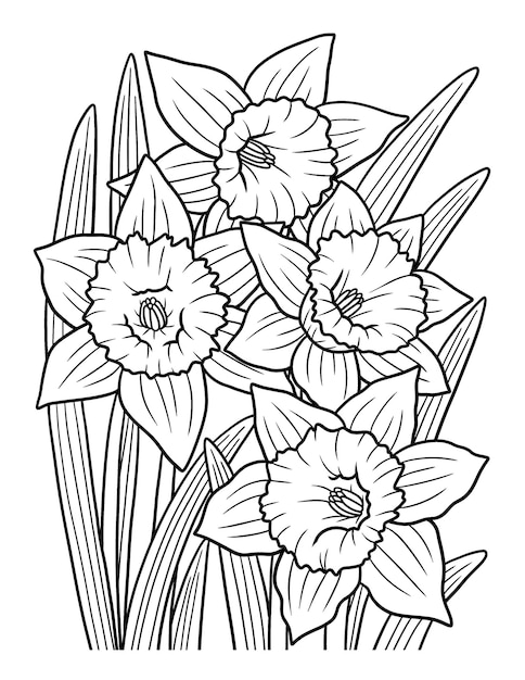 Daffodil Flower Coloring Page for Adults