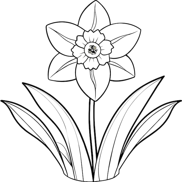 Daffodil flower plant outline illustration coloring book page design