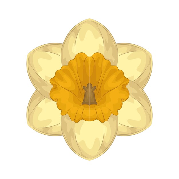 Vector daffodil flower