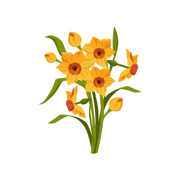 Vector daffodil hand drawn realistic illustration