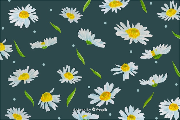 Daisies decorative background watercolor design