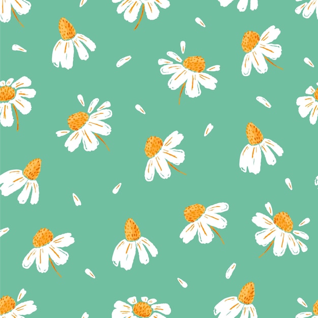 Daisies and petals seamless pattern. Chamomile flowers.