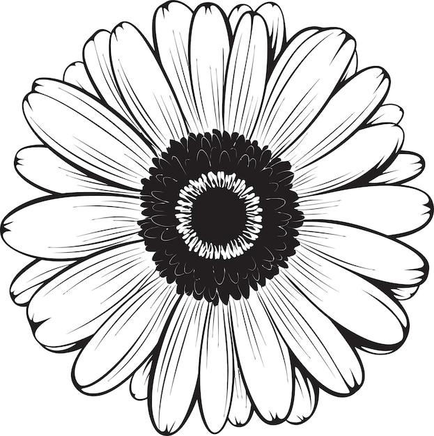 Vector daisy delight gerbera daisy logo in vector blossom bliss gerbera daisy vector emblem