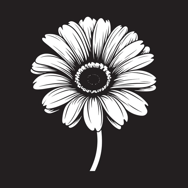 Daisy Dreams Gerbera Daisy Logo in Vector Elegant Blossom Gerbera Daisy Vector Emblem