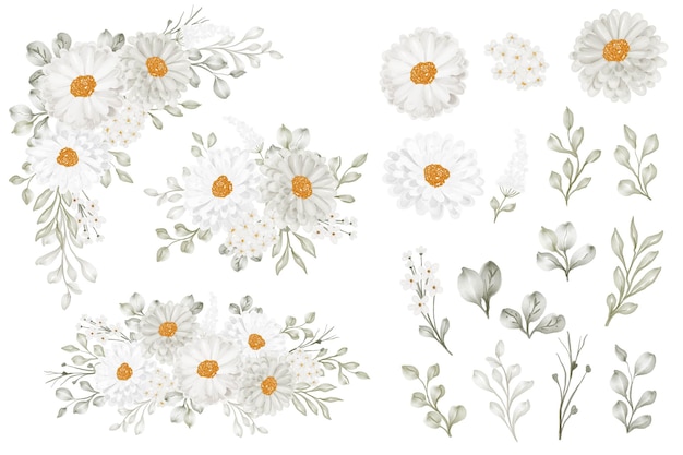 Daisy flower arrangement and flower leaves isolated clip art