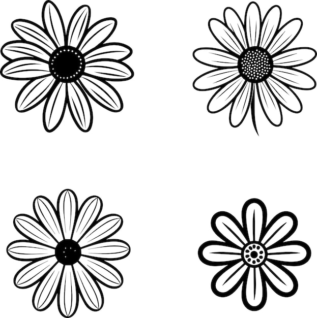 Vector daisy flower black and white illustration