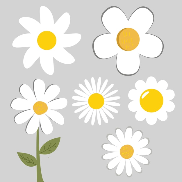 Vector daisy flower clipart sublimation set