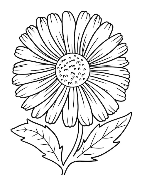 Daisy Flower Coloring Page for Adults