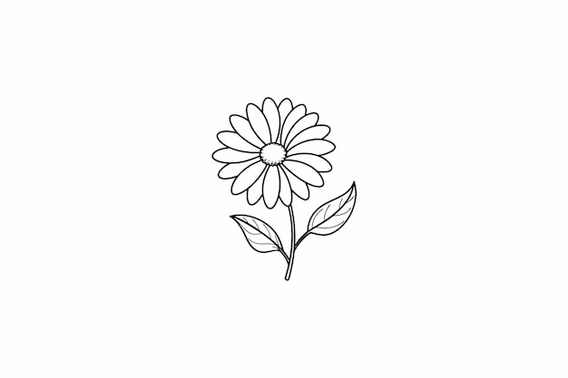 Daisy Flower Outline for design element and coloring book pages for kids