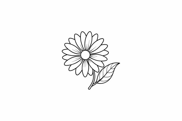 Vector daisy flower outline for design element and coloring book pages for kids