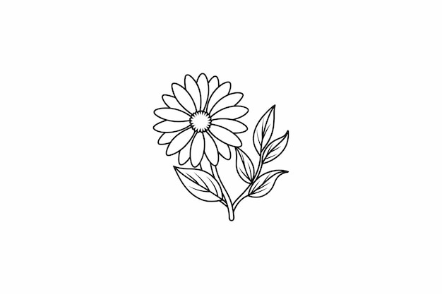 Daisy Flower Outline for design element and coloring book pages for kids