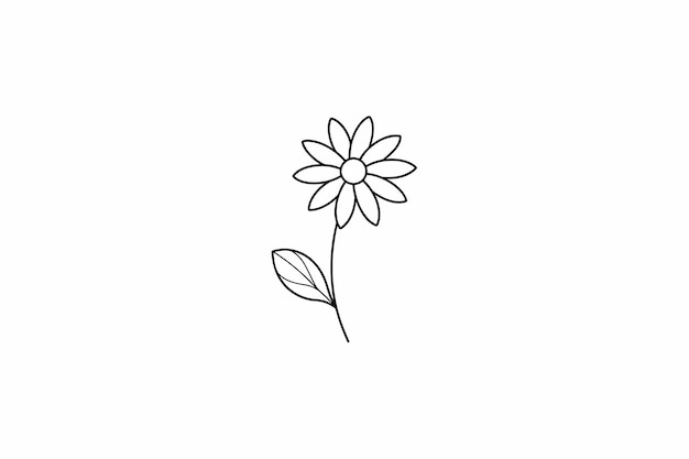 Vector daisy flower outline for design element and coloring book pages for kids