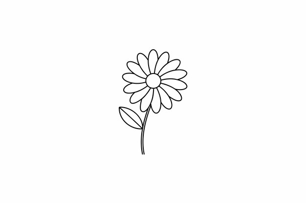 Vector daisy flower outline for design element and coloring book pages for kids