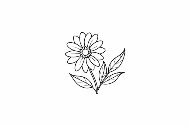 Daisy Flower Outline for design element and coloring book pages for kids