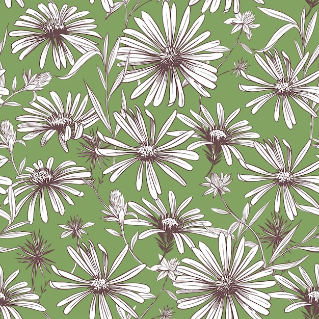 Daisy flower. Seamless pattern. Vector Sketch illustration. Fabric design.