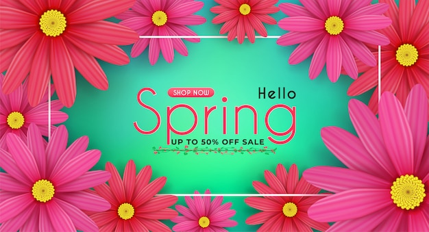 Daisy flowers bloom in the seasonal spring. and for shopping sale discount promotion.and with seasonal deals.