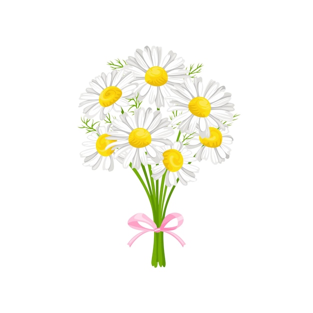 Vector daisy flowers spring gift bouquet