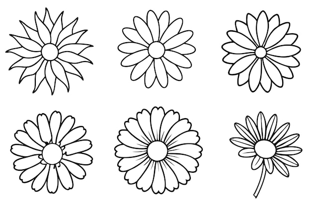 Vector daisy line art nature inspired artistic flower drawing