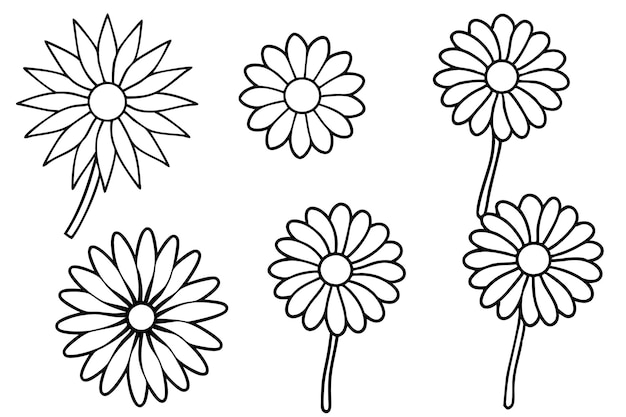 Vector daisy line art stylish linework for floral art projects