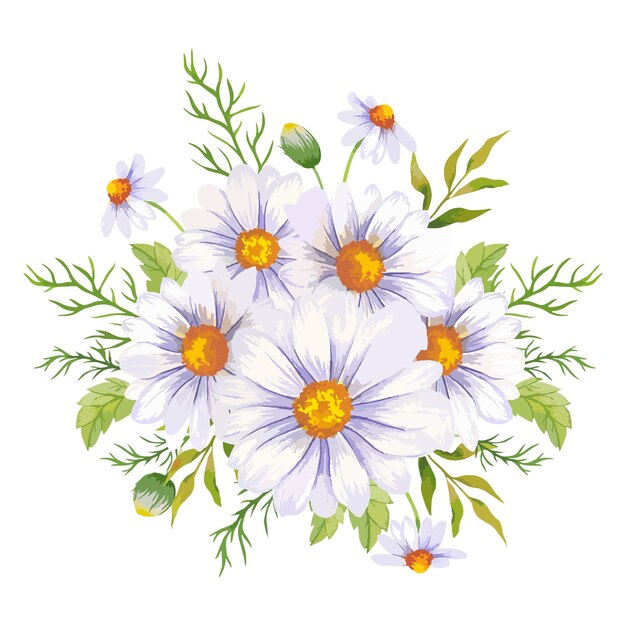 Vector daisy watercolor illustration chamomile bouquet