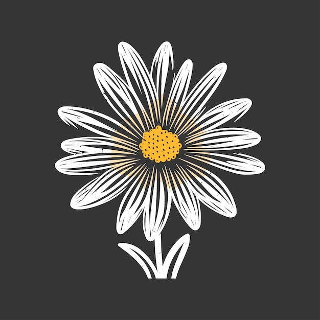 Daisy with leaves vector line art in yellow and white colors Gray background