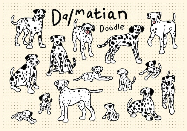 Vector dalmatian dog hand drawn doodle set