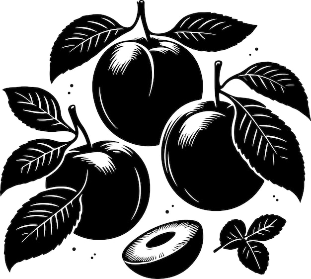 Damson plum fruit silhouette vector black color silhouette