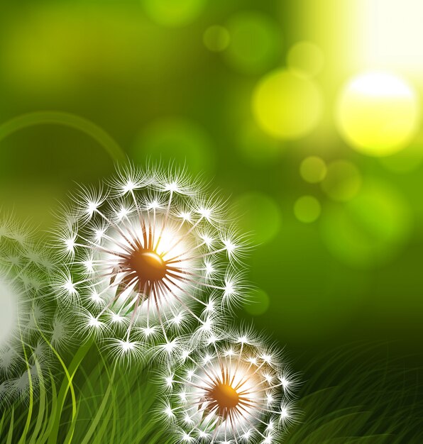 Vector dandelion field spring conceptual background