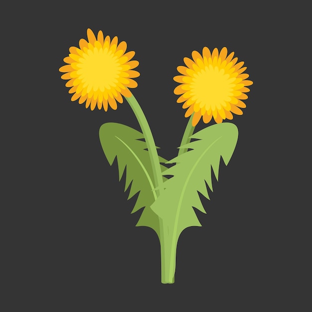 Dandelion flower flat icon on dark background Vector illustration