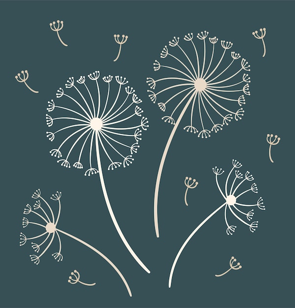 Dandelion flowers vector art image