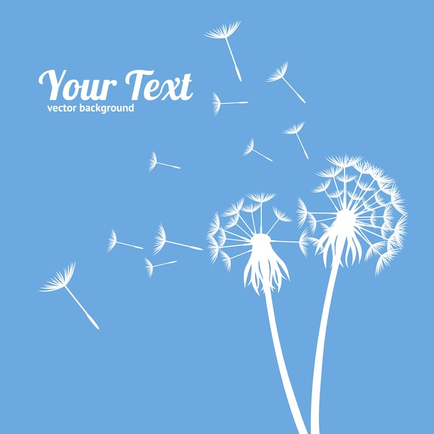 Vector dandelion fluffy flower and seeds silhouette meadow plant card eco style. vector illustration