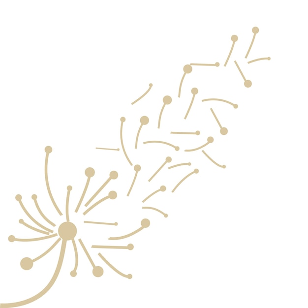 Dandelion Logo Vector Plant Dandelion flower Design Icon Template